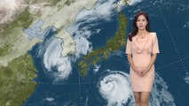 [날씨] '솔릭' 사상 최강 바람 기록...시설물 대비 철저 / YTN