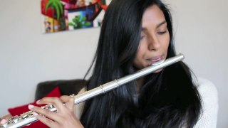 Titanium David Guetta Flute Cover