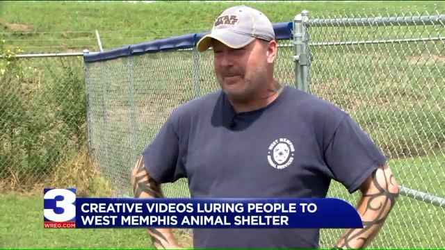 Shelter Dresses Animals Up in Silly Costumes to Lure Potential Adopters