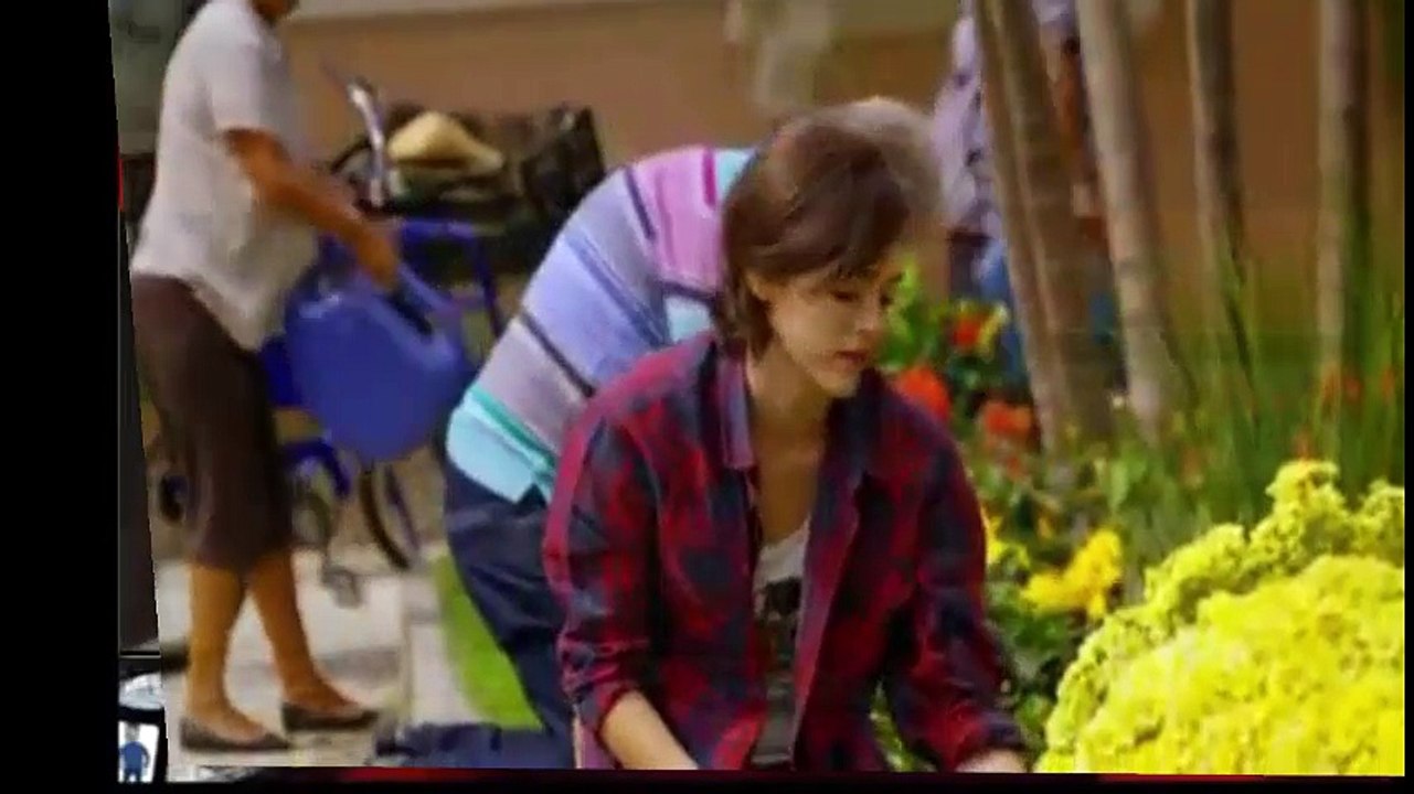 Novela Sangue Bom Capitulo 8 completo em HD