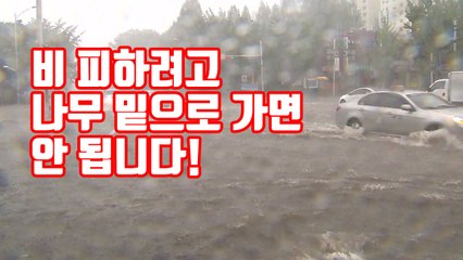 [자막뉴스] 비 피하려고 나무 밑으로 가면 안 됩니다! / YTN