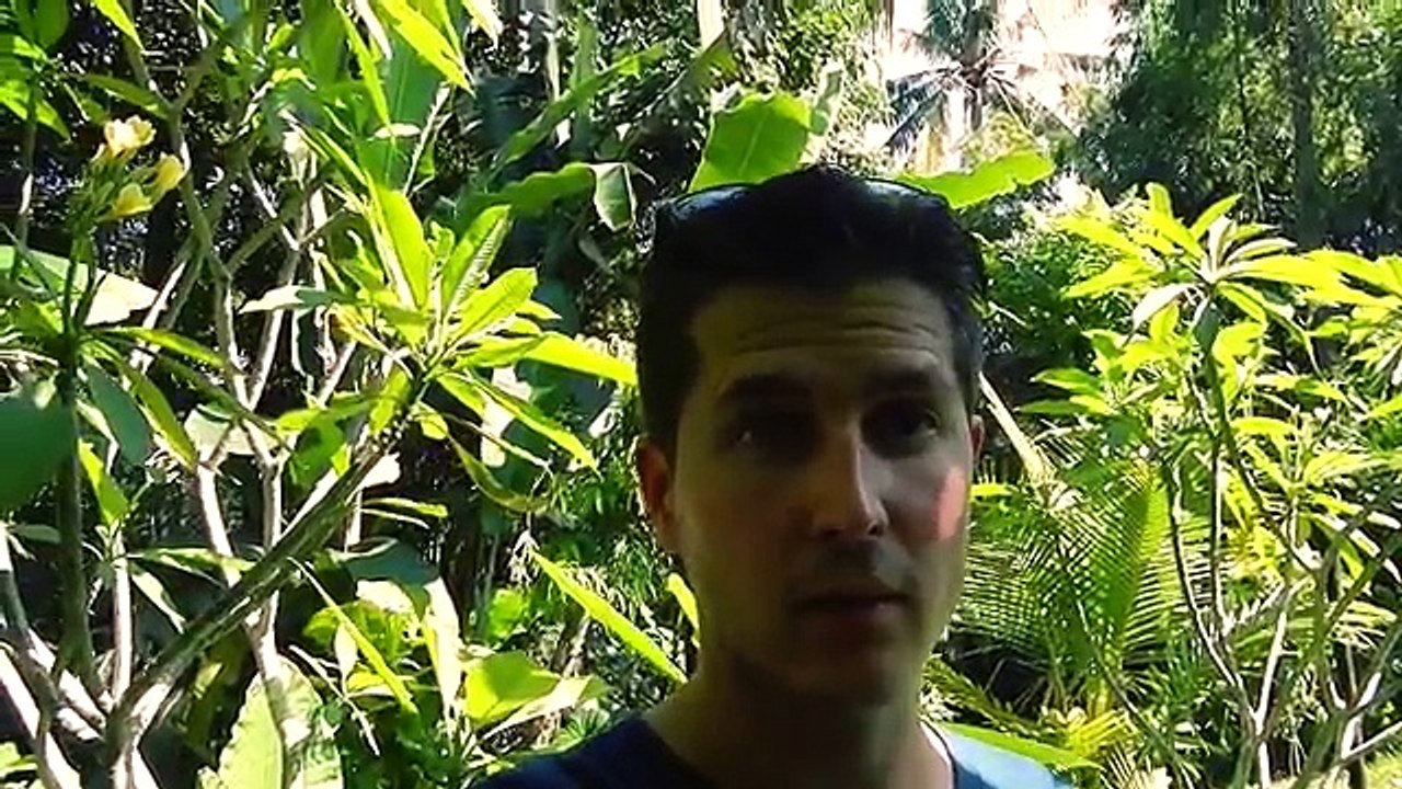TRAVELLING TO BALI UBUD part 1