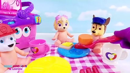Paw Patrol Baby Dolls Picnic Feeding Learn Colors Lion Frog Ice Cream Playdoh Molds PJ Mas