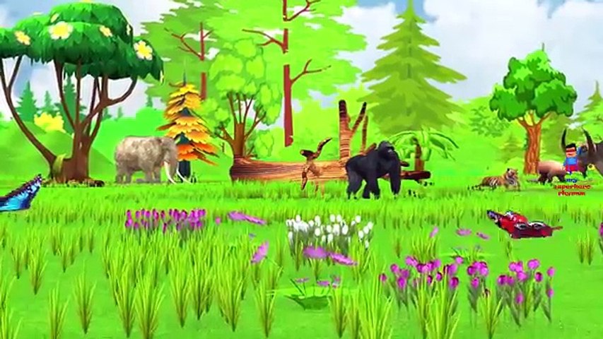 Learn Wild Animals Names In Forest Learn Wild Animals Names & Sounds For Kids Children Tod