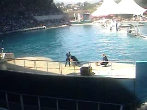 Vancances ete 2007 120