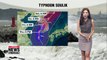Typhoon Soulik to impact South Korea's west regions _ 082318