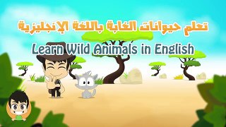 Wild Animals in English for Kids الحيوانات للأطفال حيوانات الغابة باللغة الإنجليزية للاطفا