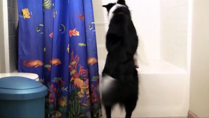 Dazzles 8 New Years Resolutions