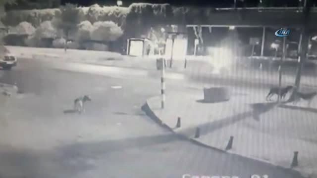 Beyoğlu'nda 4 Kişinin Yaralandığı Kaza Saniye Saniye Kameraya Yansıdı