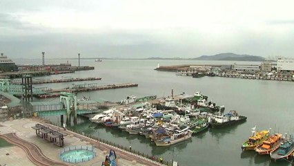 태풍 '솔릭' 북상...선박·항공 취소 잇따라 / YTN