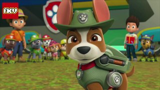 PAW PATROL ANIMALS IN REAL LIFE