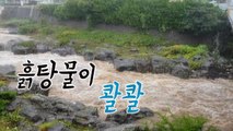 [뉴스앤이슈] 제보 영상으로 보는 태풍 '솔릭'의 위력 / YTN