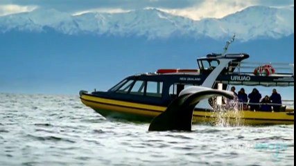 Les Meilleures Activités en Nouvelle-Zélande