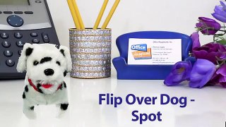 Flip Over Dog Spot