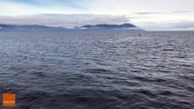 Humpback soaks Alaska whale watchers during close encounter