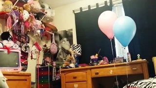 Kids Reing to Pregnancy Announcements Compilation [NEW]