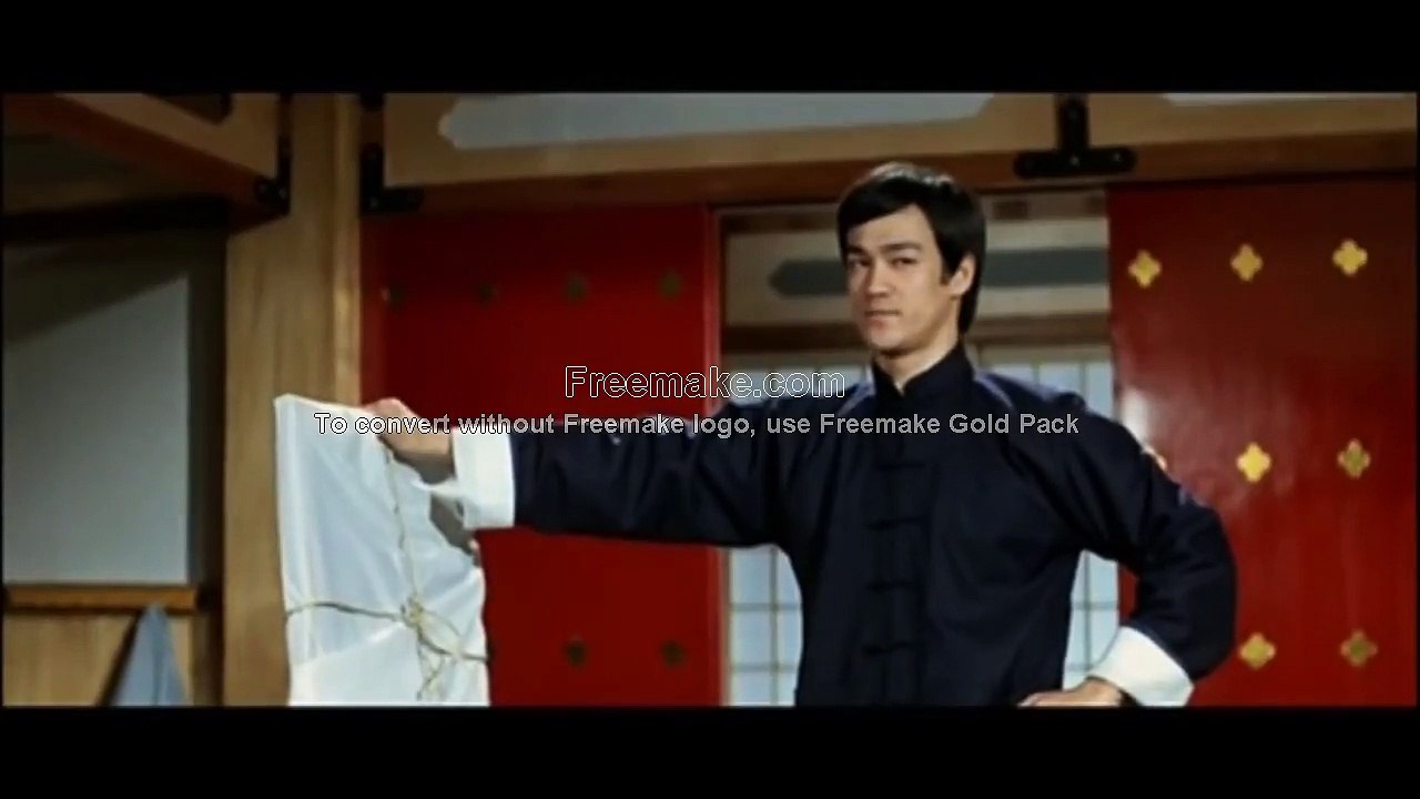 Bruce Lee Vs  Jet Li Vs  Donnie Yen - Best Fight Scenes