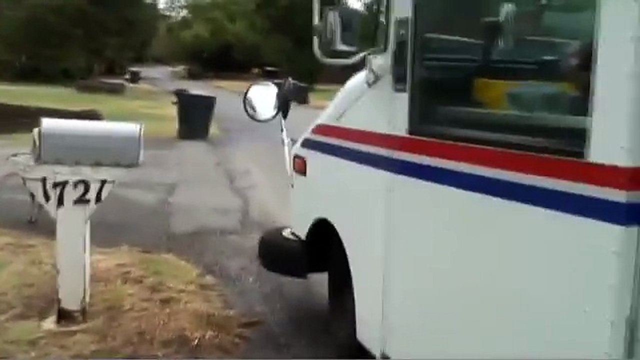 Terrible Tom the wild turkey causes reporter to lose her head