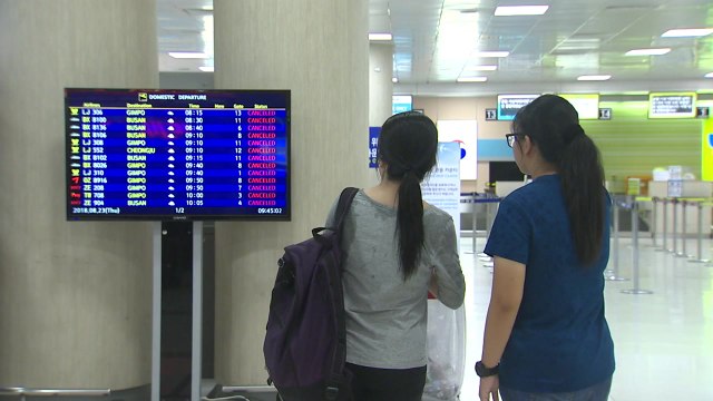 오늘 19시까지 항공기 4백여 편 무더기 결항 / YTN