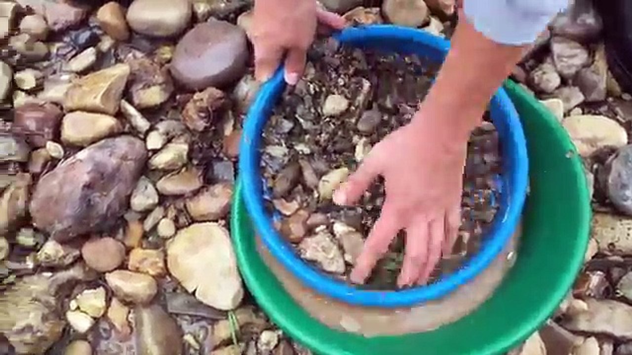 Jeweler looking for GOLD!!! (Wyoming)