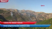 Tunceli'deki orman yangınına havadan müdahale talebi