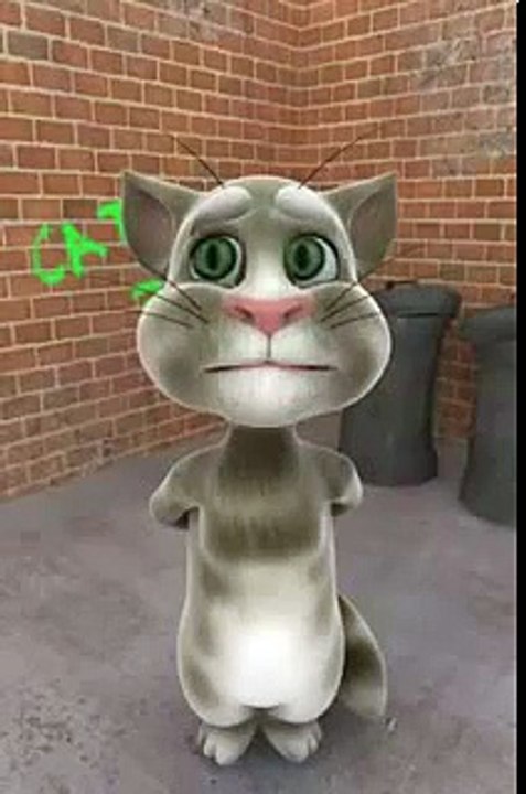 GUYANA TALKING TOM