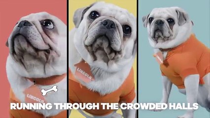 The Loud House | The Pug House Karaoke Theme Song Parody | Nick