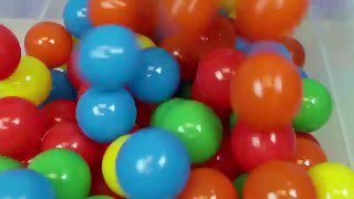 Ball Pit Show for Learning Numbers | Childrens Educational Video