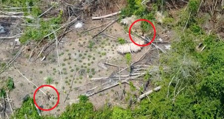 İlk Kez Kaydedildi! Amazon'da Medeniyetten Uzak Yaşayan Yerli Kabileden 16 Kişi Görüntülendi