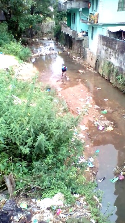 River pollution