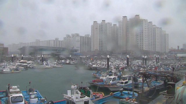 위기 단계 격상...태풍 '솔릭' 한반도 관통 / YTN
