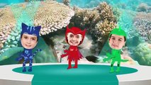 PJ Masks Catboy Owlette Gekko (Kids Wearing PJ Masks Costumes) Dance with Baby Shark Song