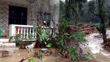 ಕೊಡಗಿನ ಜೋಡುಪಾಲಾದಲ್ಲಿ ಮನುಷ್ಯರ ಸುಳಿವೇ ಇಲ್ಲದೆ ಸ್ಮಶಾನ ಮೌನ | Oneindia Kannada