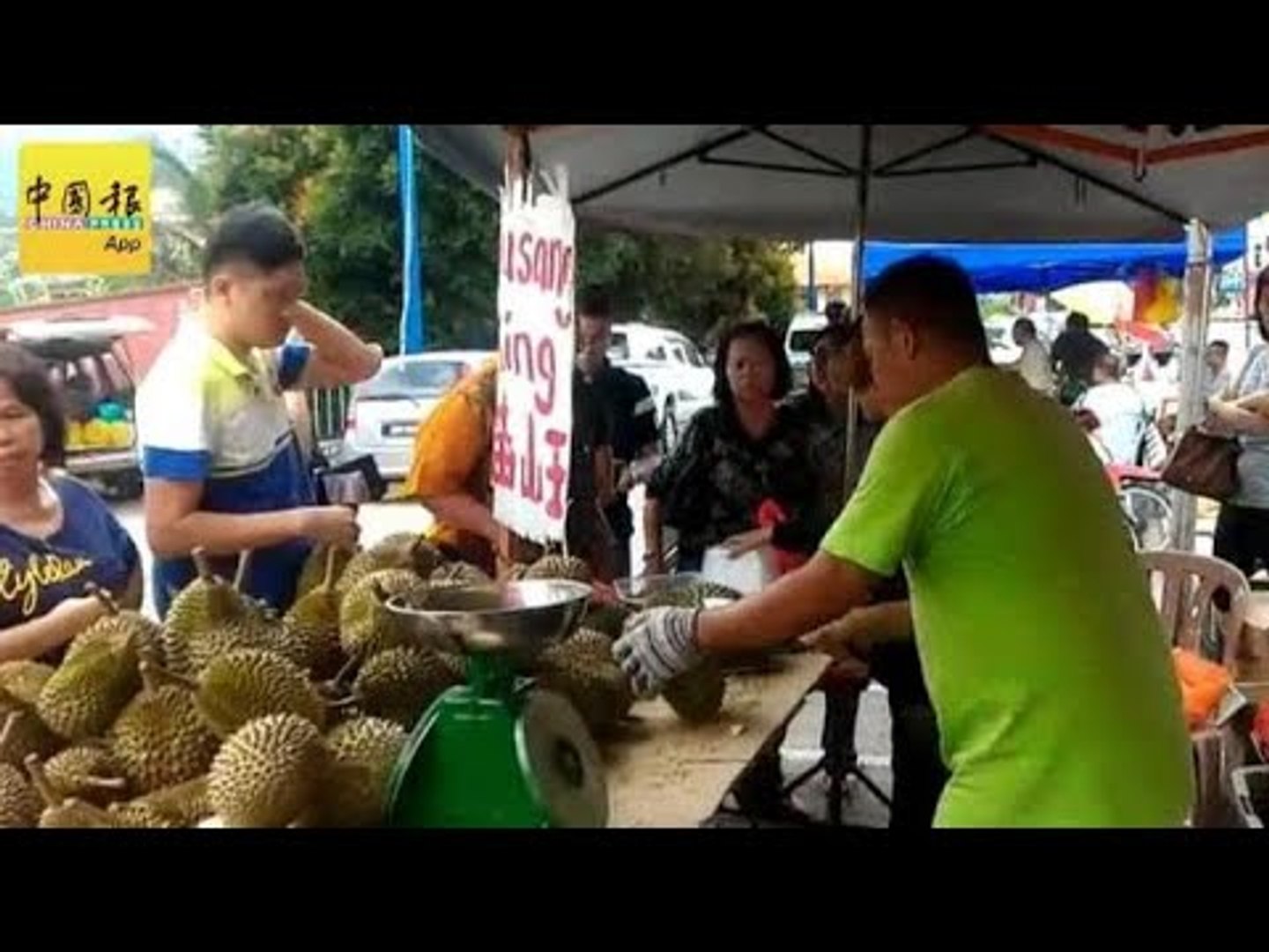 榴槤豐收 便宜賣 老饕湧來文冬吃個夠