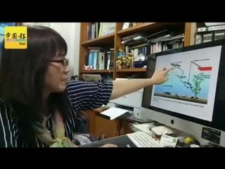 檳垃圾污染嚴重毀生態 80%海廢是塑料！