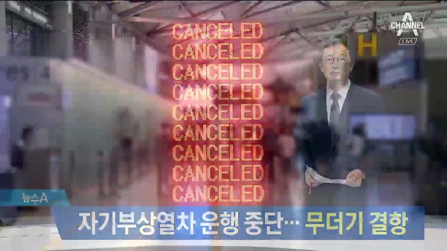 인천공항 자기부상 열차 운행 중단…무더기 결항