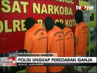 Polisi Temukan 25 Kg Ganja Dikubur di Hutan