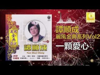 譚順成 Tam Soon Chern -  一顆愛心 Yi Ke Ai Xin (Original Music Audio)