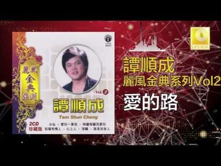 譚順成 Tam Soon Chern - 愛的路 Ai De Lu (Original Music Audio)