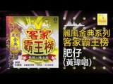 黃玮 Huang Wei - 肥仔 Fei Zai (Original Music Audio)