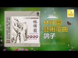 林祥園 Ling Xiang Yuan - 鴿子 Ge Zi (Original Music Audio)