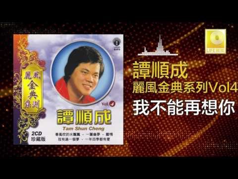 譚順成 Tam Soon Chern - 我不能再想你 Wo Bu Neng Zai Xiang Ni (Original Music Audio)