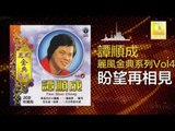譚順成 Tam Soon Chern - 盼望再相見 Pan Wang Zai Xiang Jian (Original Music Audio)