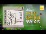林祥園 Ling Xiang Yuan - 草原之夜 Cao Yuan Zhi Ye (Original Music Audio)