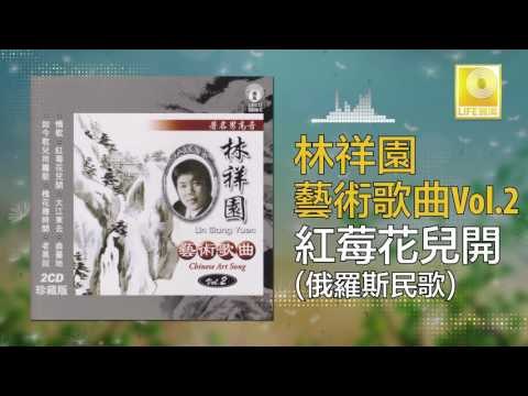 林祥園 Ling Xiang Yuan - 紅莓花兒開 Hong Mei Hua Er Kai (Original Music Audio)