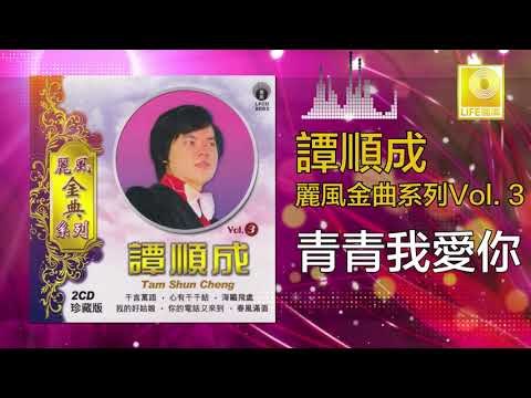 譚順成 Tam Soon Chern - 青青我愛你 Qing Qing Wo Ai Ni (Original Music Audio)