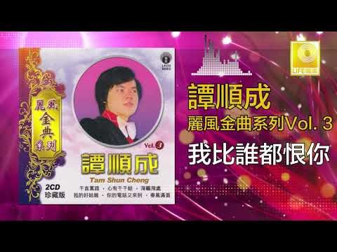 譚順成 Tam Soon Chern - 我比誰都恨你 Wo Bi Shui Dou Hen Ni (Original Music Audio)