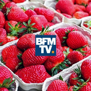 Ces fruits et légumes qu’il ne faut pas mettre au frigo