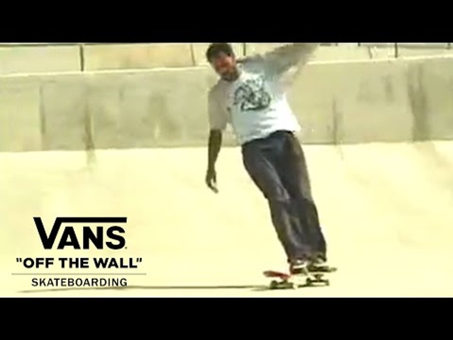 Vans Skate Team | Skate | VANS - video Dailymotion