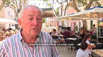 Var : des touristes en guerre contre les cigales fâchent les Provençaux